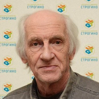 Богатырёв В.А.